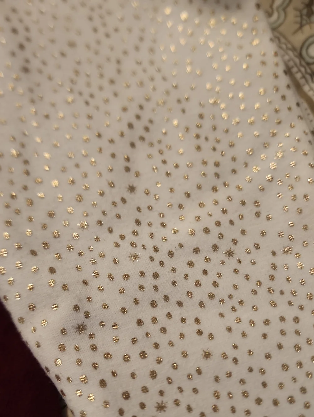 Sz 4T Cat & Jack Burgundy Long Sleeve Top with Cream Sparkle Pants